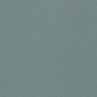 Pelle Sc. 254 Steel Blue