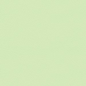Plain Greene Ecopelle 9012