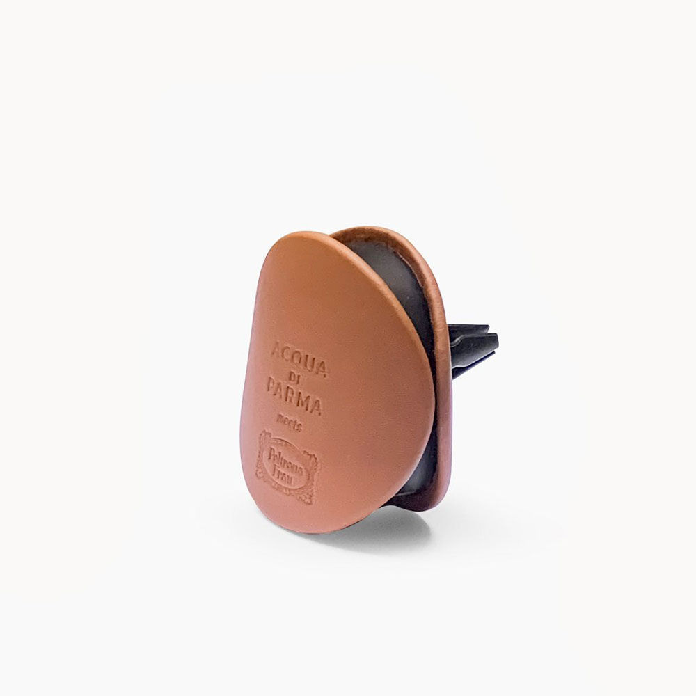 car-diffuser-1