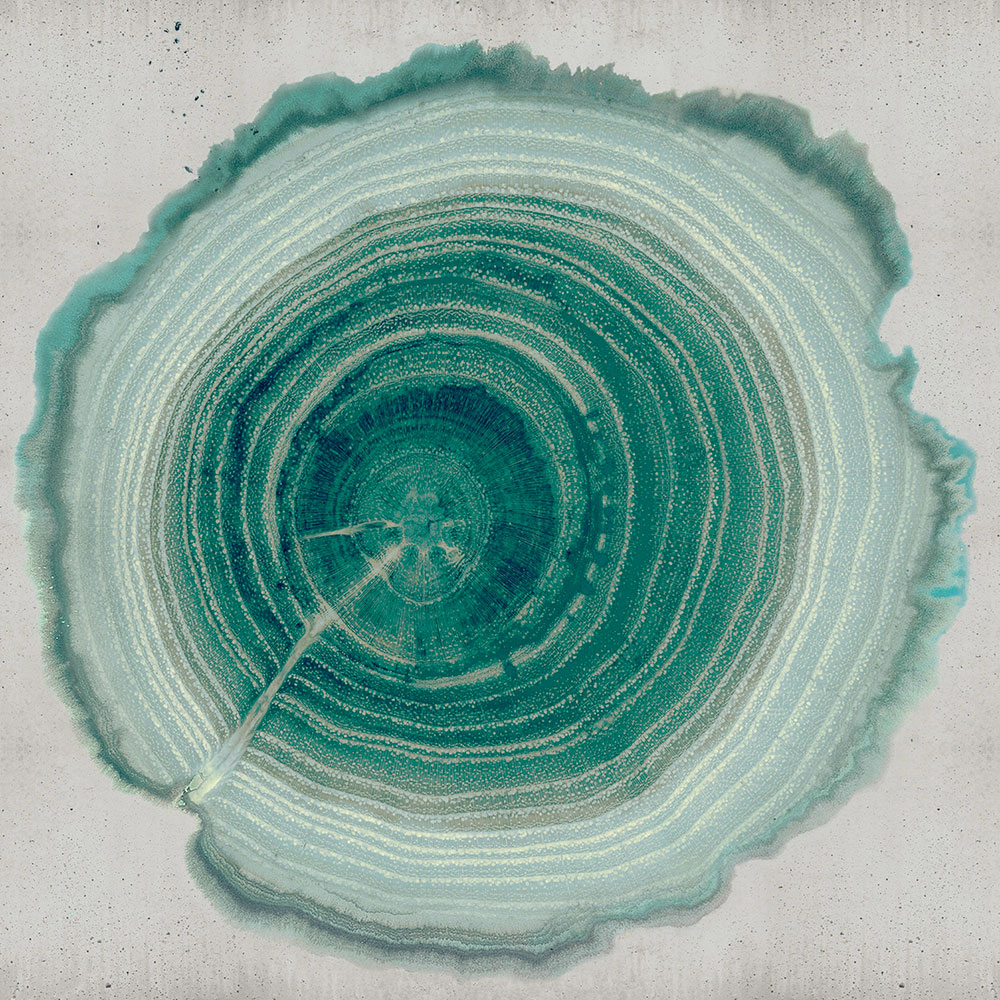 TREE-OF-LIFE-Wall-decò-505857-rel51627831