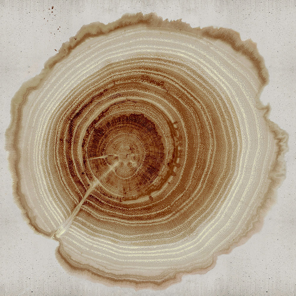TREE-OF-LIFE-Wall-decò-505857-relc266eab4