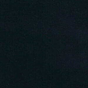 Web W6281