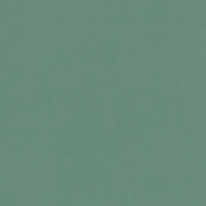 Web W6284